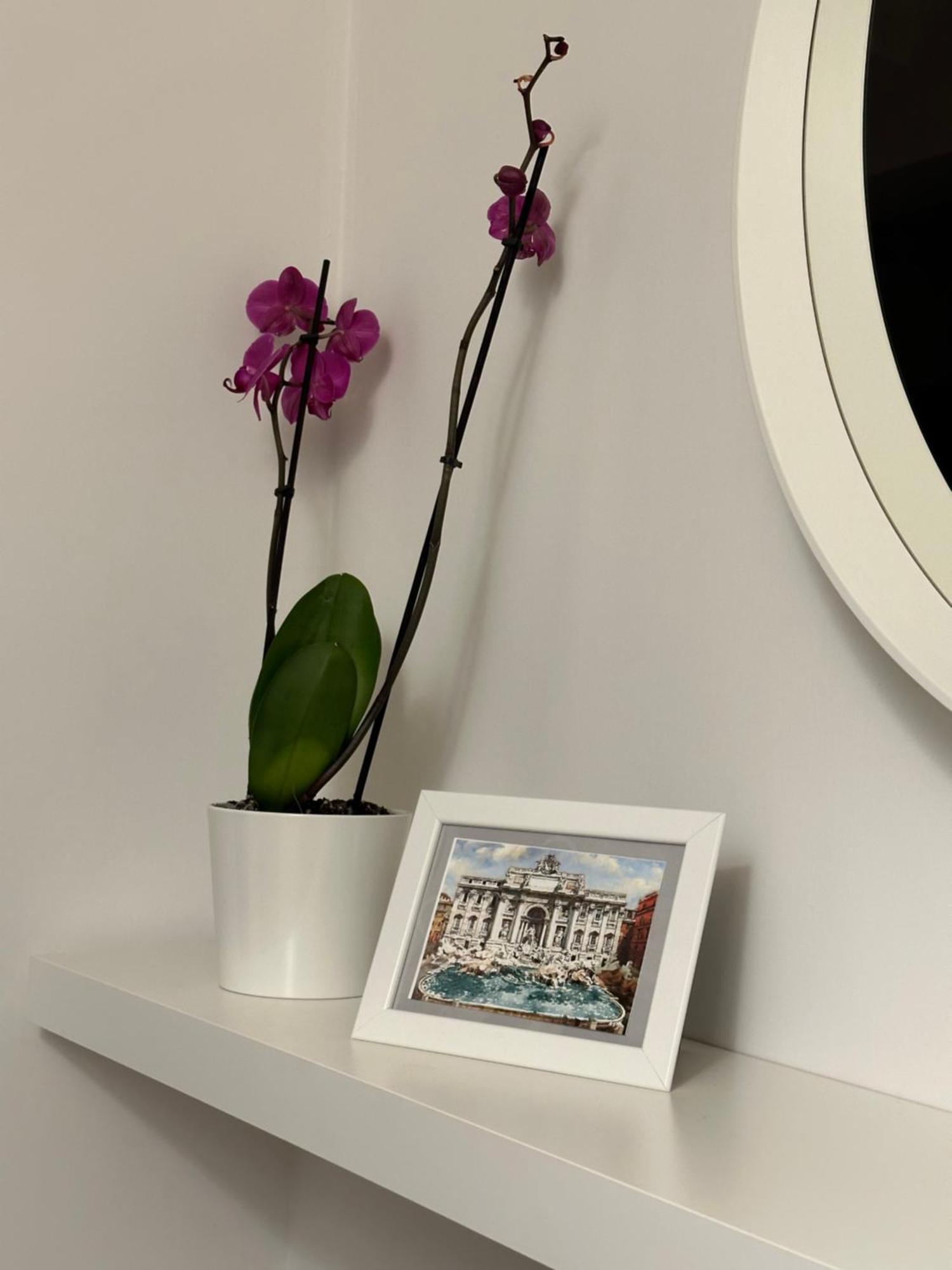 Trithome Suite Boutique Barberini Rom Exterior foto